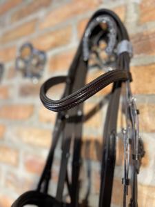 TRÄNS TOKYO CHOCOLATE