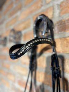 KANDAR ANATOMIC SVART