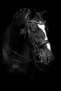 KANDAR DELICATO BRUN