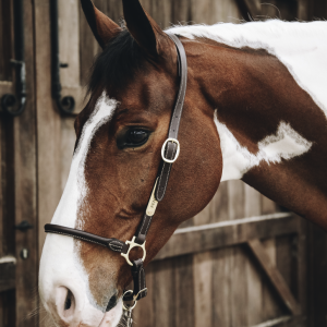 GRIMMA GROOMING FULL BRUN