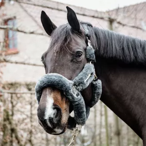 GRIMMA FÅRSKINN GRÅ
