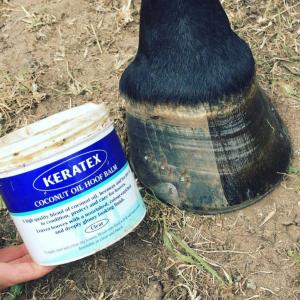 COCONUT OIL HOOF BALM 400G