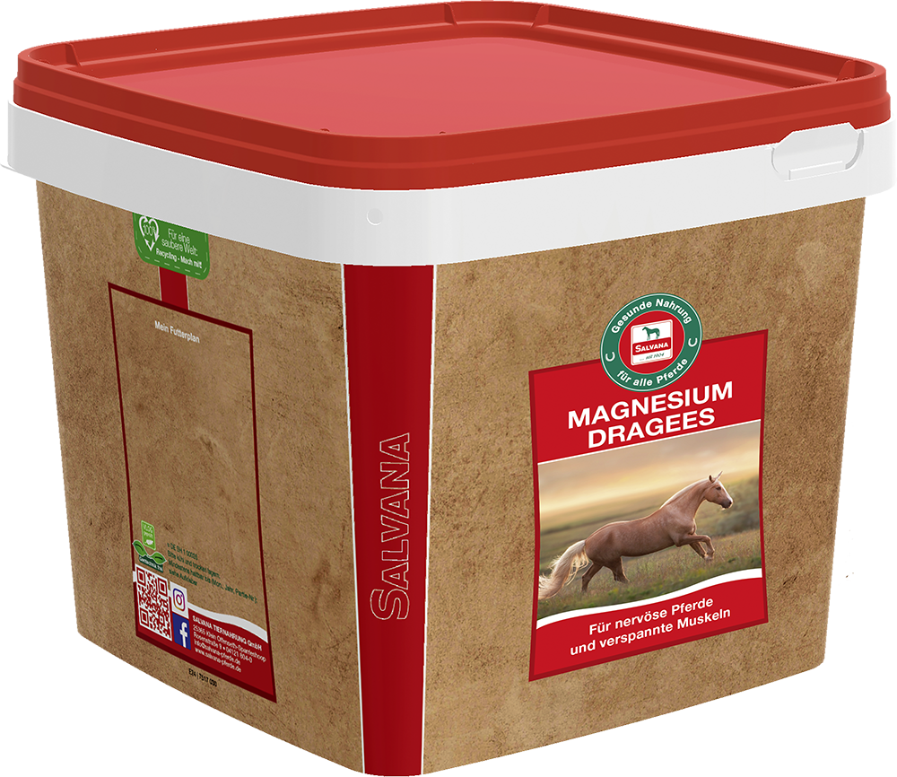 MAGNESIUM DRAGEES 3 KG