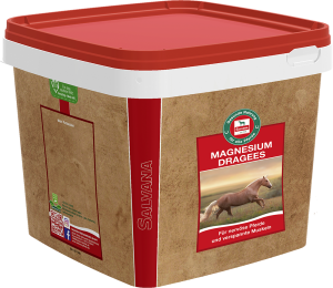 MAGNESIUM DRAGEES 3 KG