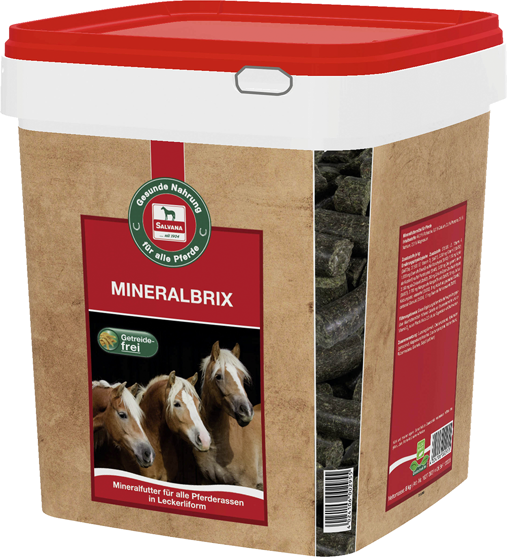 MINERAL BRIX 8 KG