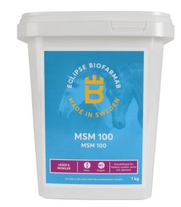 MSM 100 1 KG