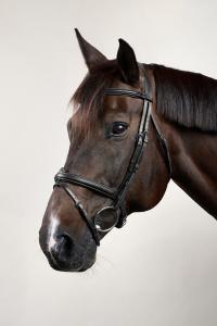 TRÄNS KOMBINERAD NOSGRIMMA SVART