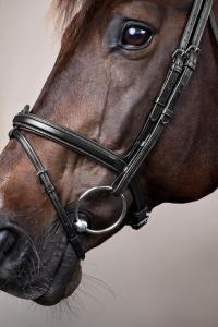 TRÄNS KOMBINERAD NOSGRIMMA SVART