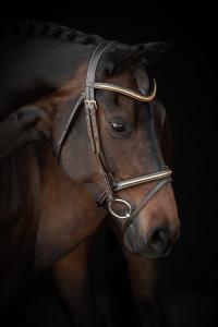 TRÄNS SUPREME NEXON SVART