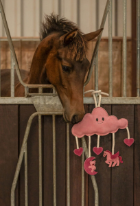 LEKSAK HÄST NOVY PINK