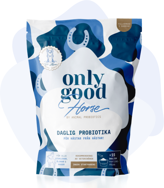 ONLYGOODHORSE 6 GR * 15 STICKOR