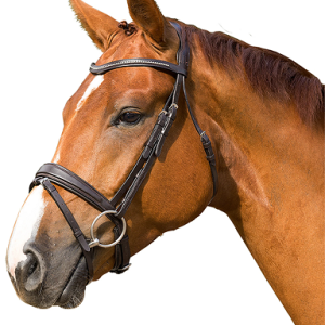 TRÄNS PDS KOMB NOSGRIMMA BLING COB SVART