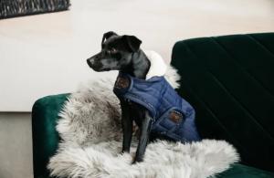 HUNDTÄCKE PEARLS NAVY