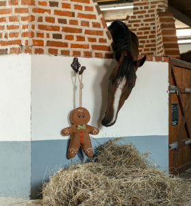 HÄSTLEKSAK PEPPARKAKSGUBBE