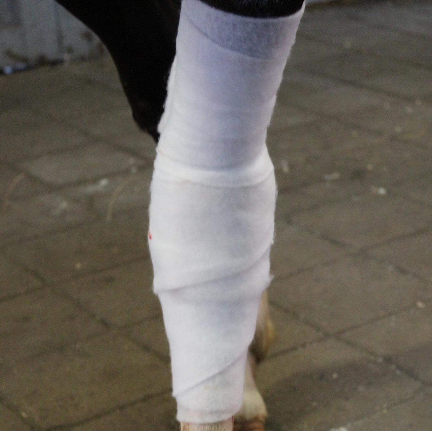 POLSTERVADD SYNT 10CMX3M 4ST