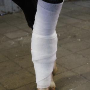 POLSTERVADD SYNT 10CMX3M