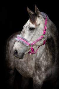 GRIMMA UNIQUE CREISE