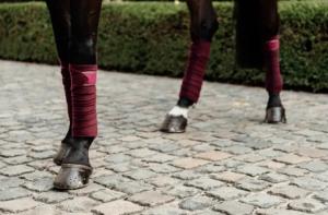 FLEECE BANDAGE POLAR BORDEAUX