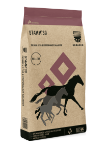 STAMM 30 20 KG
