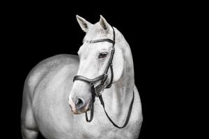 TRÄNS MICKLEM COMPETITION 2 BLACK