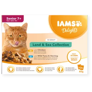 DELIGHT SENIOR 12-PACK