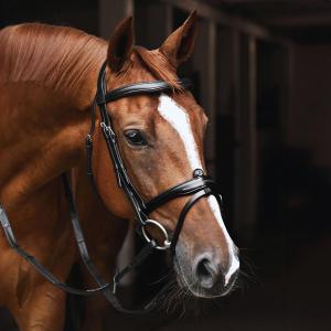 TRÄNS SIGNATURE SVART