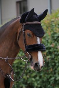 WELLINGTON SOUNDLESS SVART