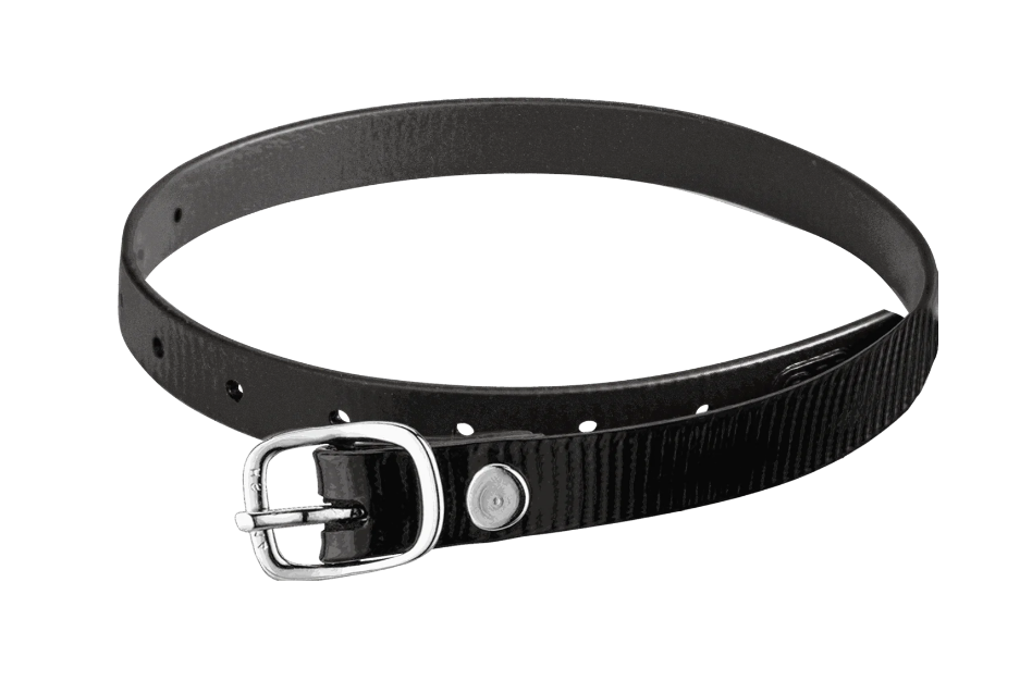 SPORREMMAR BIOTHANE GLOSSY 45 CM SVART