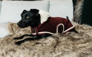 HUNDTÄCKE HEAVY FLEECE