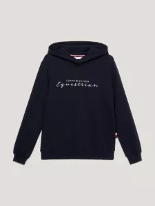 HOODIE METALLIC LOGO DESERT SKY