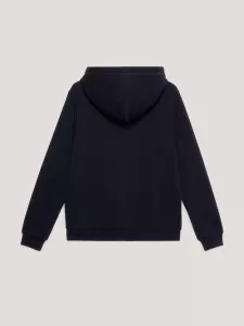 HOODIE METALLIC LOGO DESERT SKY