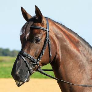 NOSNÄT NOSTRIL SVART