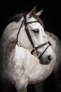 TRÄNS TRAINER MÖRK BRUN