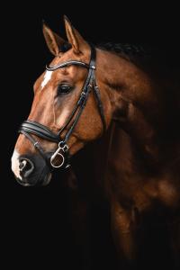 TRÄNS INTEGRO SVART