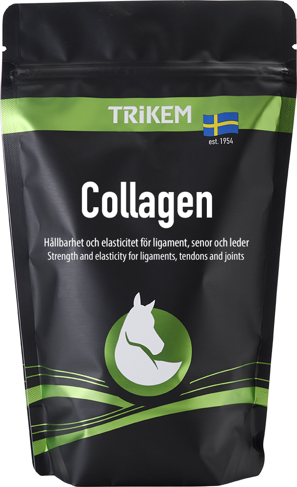 COLLAGEN 600 G