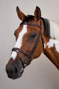 TRÄNS KOMBINERAD NOSGRIMMA BRUN