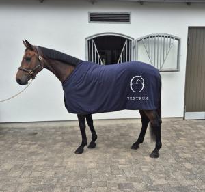 TÄCKE FLEECE VICENZA NAVY