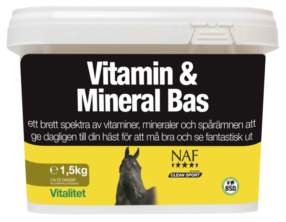 VITAMIN & MINERAL BAS 1,5 KG