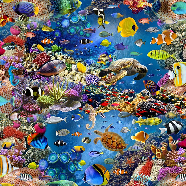 Halvpanama - Undervattensvärld