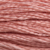 DMC Moulinégarn Färg 0152