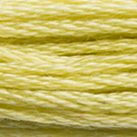 DMC Moulinégarn Färg 0165