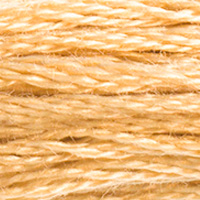 DMC Moulinégarn Färg 0422
