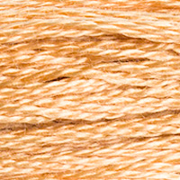 DMC Moulinégarn Färg 0437