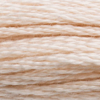 DMC Moulinégarn Färg 0543