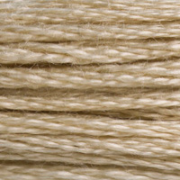 DMC Moulinégarn Färg 0613