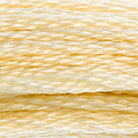 DMC Moulinégarn Färg 0677