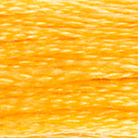 DMC Moulinégarn Färg 0725