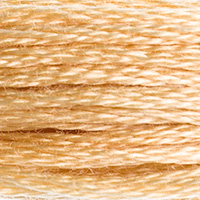 DMC Moulinégarn Färg 0738