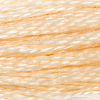 DMC Moulinégarn Färg 0739