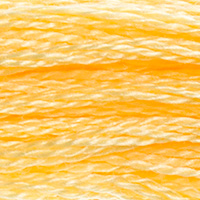 DMC Moulinégarn Färg 0744